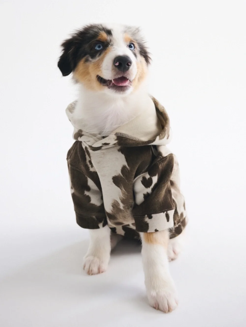 Abercrombie & Fitch A&F Essential Pet Pupover Hoodie Brown Cow Pattern Sz Large